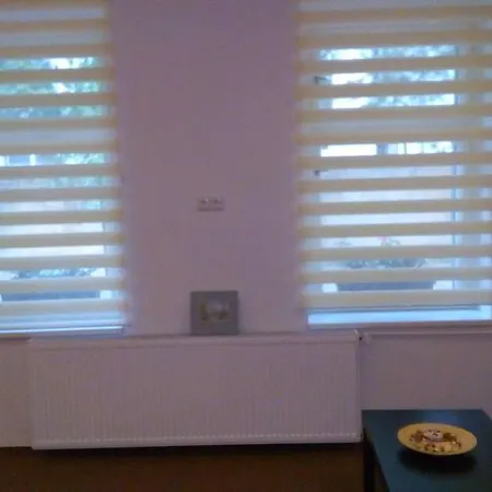 Apartament David *